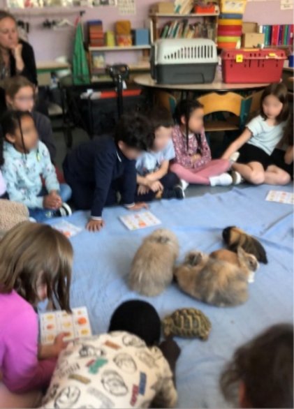 Médiation animale CP